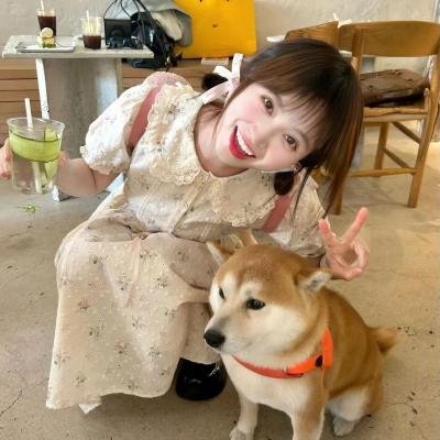 孤独摇滚(下)